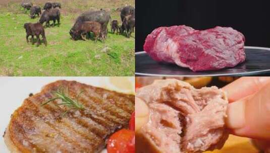 牛肉素材高清在线视频素材下载