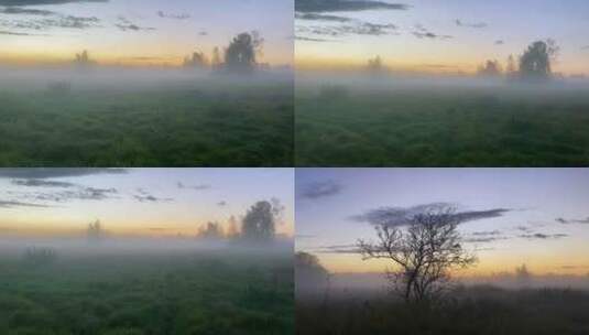 树林晨雾日出高清在线视频素材下载