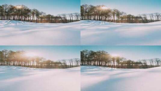 垂直镜头在森林雪上的延时高清在线视频素材下载