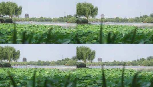 济南大明湖超然楼夏季风光高清在线视频素材下载