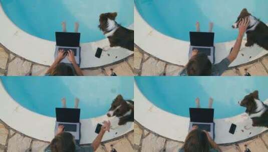 自由职业者和狗在游泳池旁边高清在线视频素材下载