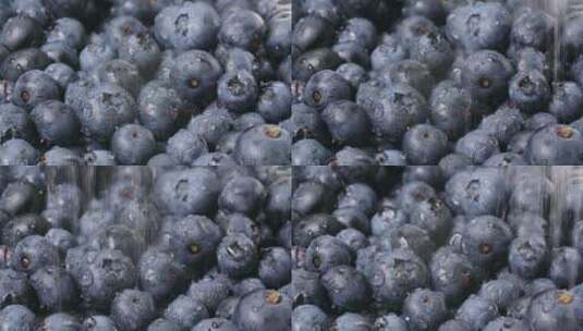 4K蓝莓洒水实拍背景视频高清在线视频素材下载
