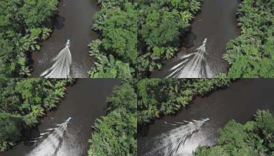 带屋顶的摩托艇在哥斯达黎加热带丛林河上巡航。高清在线视频素材下载