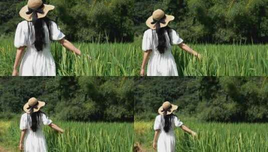 美女游走在水稻田中高清在线视频素材下载