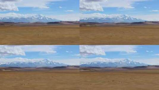 航拍西藏纳木那尼峰和山下的草原高清在线视频素材下载