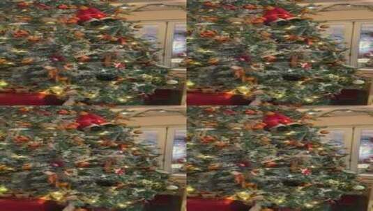 济南西餐厅装扮一新圣诞树高清在线视频素材下载