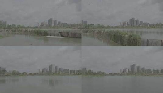 生态湿地绿色公园城市高清在线视频素材下载