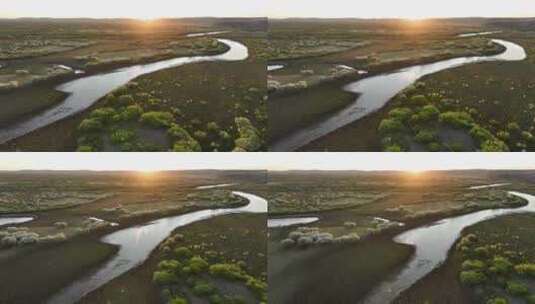 呼伦贝尔自然风光海拉尔河湿地风景山丁子花高清在线视频素材下载