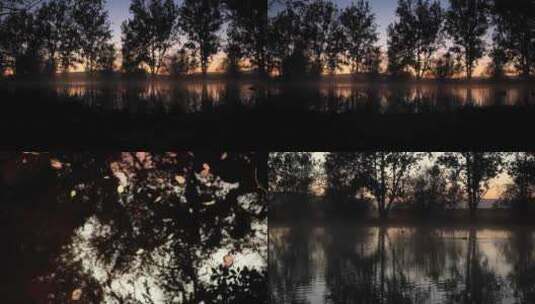 湖边树林夕阳景色高清在线视频素材下载