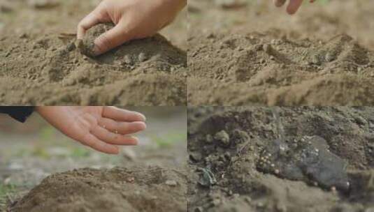触摸泥土浇灌泥土高清在线视频素材下载