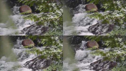 4K-岩石上的流水高清在线视频素材下载