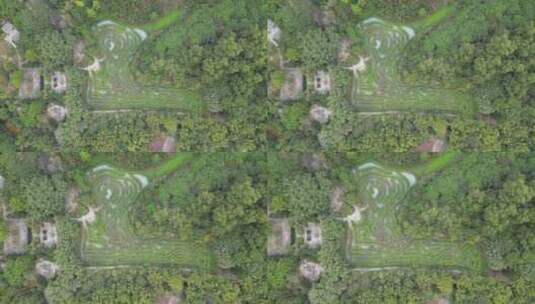 航拍东莞大屏障森林公园的植物迷宫高清在线视频素材下载