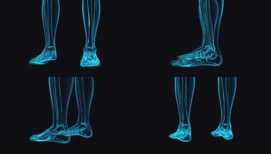 人体骨骼透视全息高清在线视频素材下载