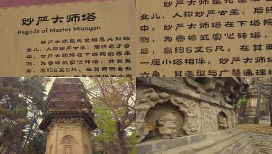 北京潭柘寺 秋色中的忽必烈之女妙严大师塔高清在线视频素材下载