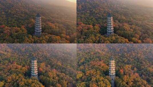 南京灵谷景区灵谷寺灵谷塔航拍高清在线视频素材下载