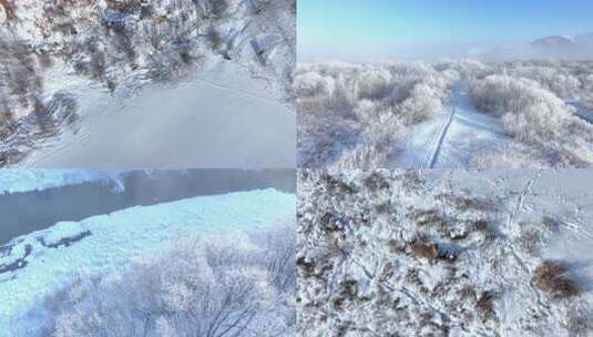 雪野山林野鹿视频素材高清在线视频素材下载