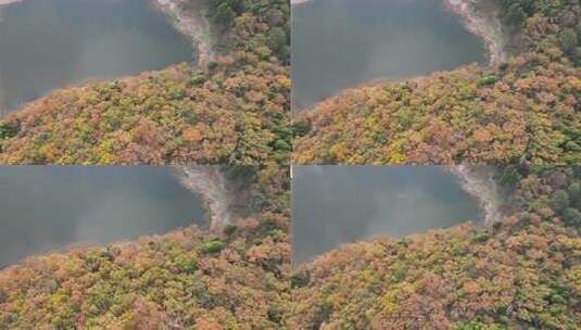 四川德阳罗江区附近山林秋色高清在线视频素材下载