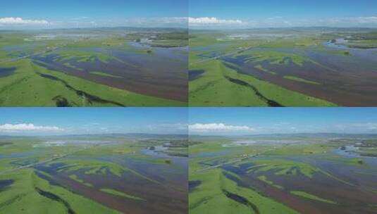 四川阿坝州若尔盖大草原湿地航拍自然风光高清在线视频素材下载