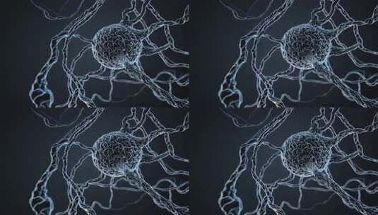 神经细胞三维模型展示高清在线视频素材下载