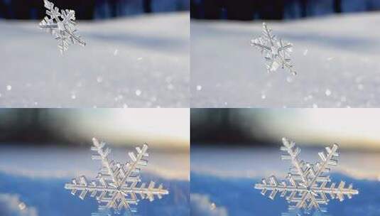 晶莹剔透的雪花飘落特写高清在线视频素材下载