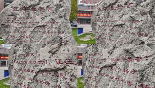 刻有医学生誓言的校园巨石高清在线视频素材下载