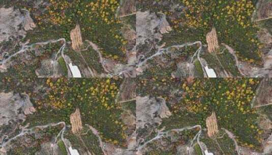 航拍的秋季森林景观高清在线视频素材下载
