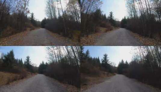 秋天 森林 落叶 行驶高清在线视频素材下载