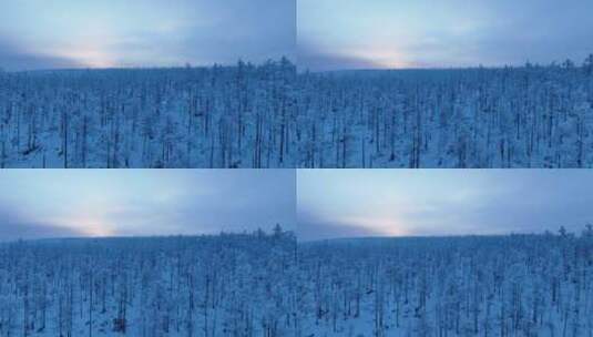 航拍林海雪原雾凇高清在线视频素材下载