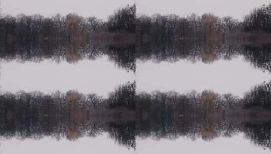 冬季树木在湖面的倒影高清在线视频素材下载
