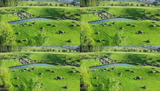 清新绿色的草地湖泊景观高清在线视频素材下载