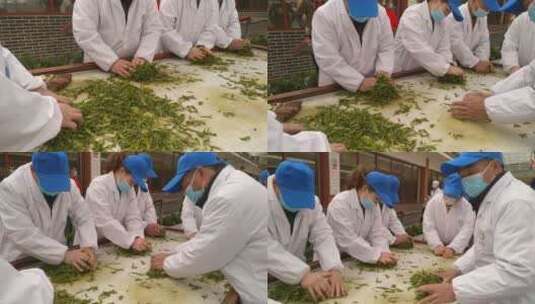 名茶湖北恩施州非遗技艺手工茶玉露茶蒸青茶高清在线视频素材下载