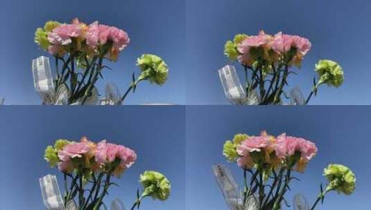 济南泉城广场“泉标”建筑，春天鲜花围绕高清在线视频素材下载