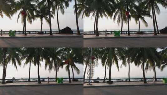 海边公路的椰树高清在线视频素材下载