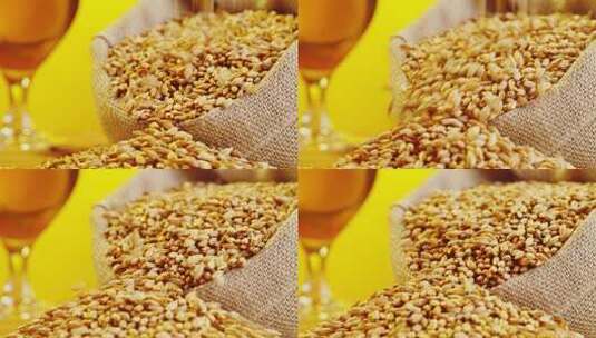 高品质优质小麦麦谷麦穗高清在线视频素材下载