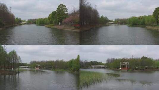 春天公园的湖泊和小树林高清在线视频素材下载