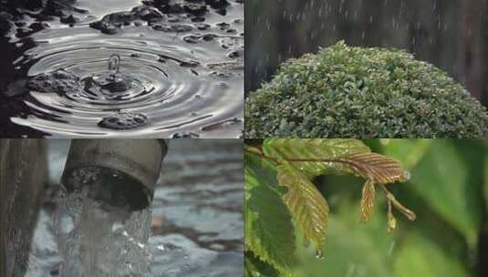 雨天下雨雨后雨滴大雨小雨谷雨慢镜头合集高清在线视频素材下载
