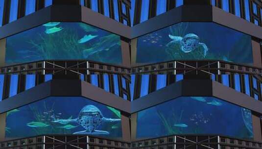 海底世界裸眼3d（可定制）高清在线视频素材下载