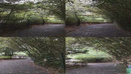 绿色的竹林小道高清在线视频素材下载