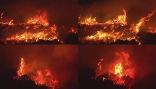 火灾大火森林火灾高清在线视频素材下载