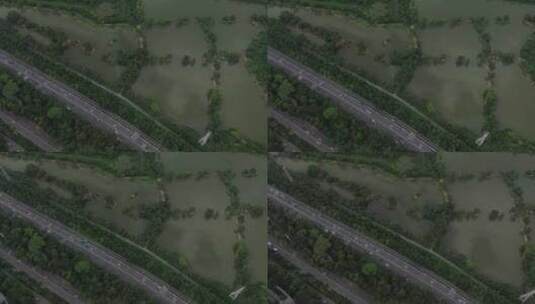 湿地公园城市郊区郊外乡村道路马路高速路高清在线视频素材下载
