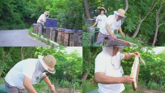 蜜蜂 养蜂人 蜂农高清在线视频素材下载