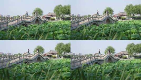 济南大明湖城市湿地公园古风建筑景观高清在线视频素材下载