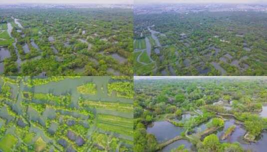 最新杭州西溪湿地航拍4K高清在线视频素材下载