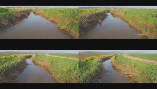 灌溉农田的小河高清在线视频素材下载