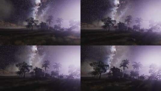 热带雨林上空的银河系高清在线视频素材下载