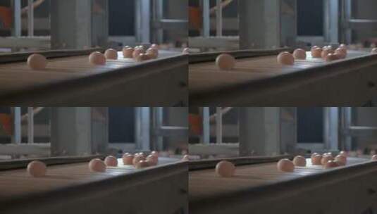 鸡蛋在生产线上高清在线视频素材下载