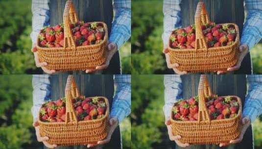 装着新鲜草莓的篮子高清在线视频素材下载