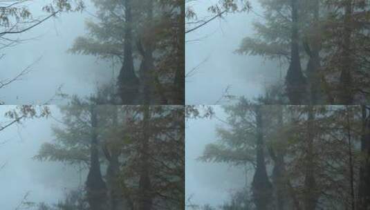 浙江天台山华顶寺雾景视频素材高清在线视频素材下载