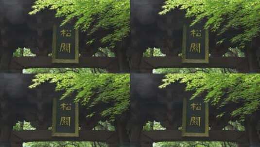 杭州西湖玉皇山风景高清在线视频素材下载