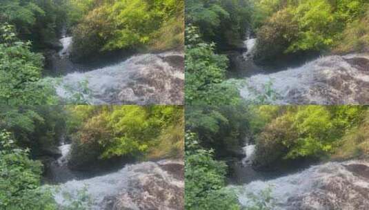 瀑布森林流水大自然小溪水山涧水源泉水山水高清在线视频素材下载